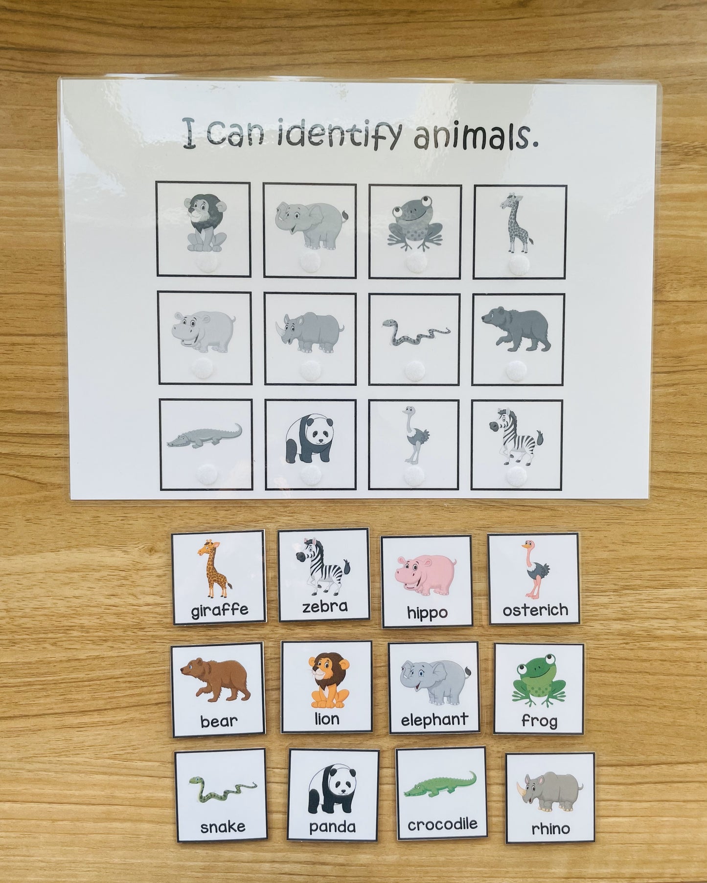 Learning Activity Binder