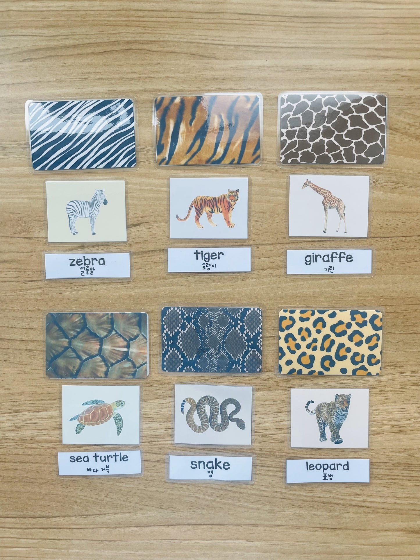 Matching Board Animal Names and Patterns