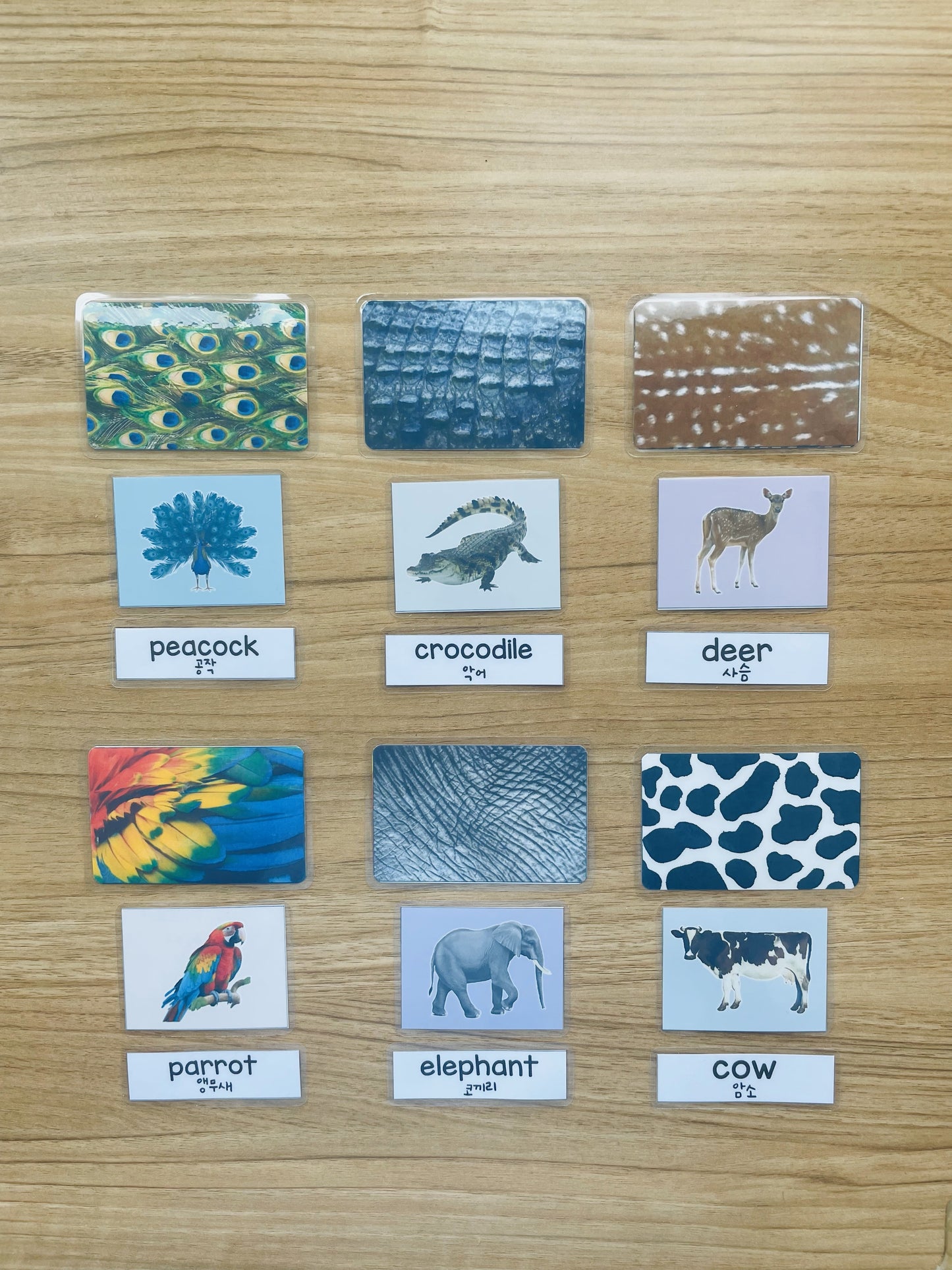 Matching Board Animal Names and Patterns